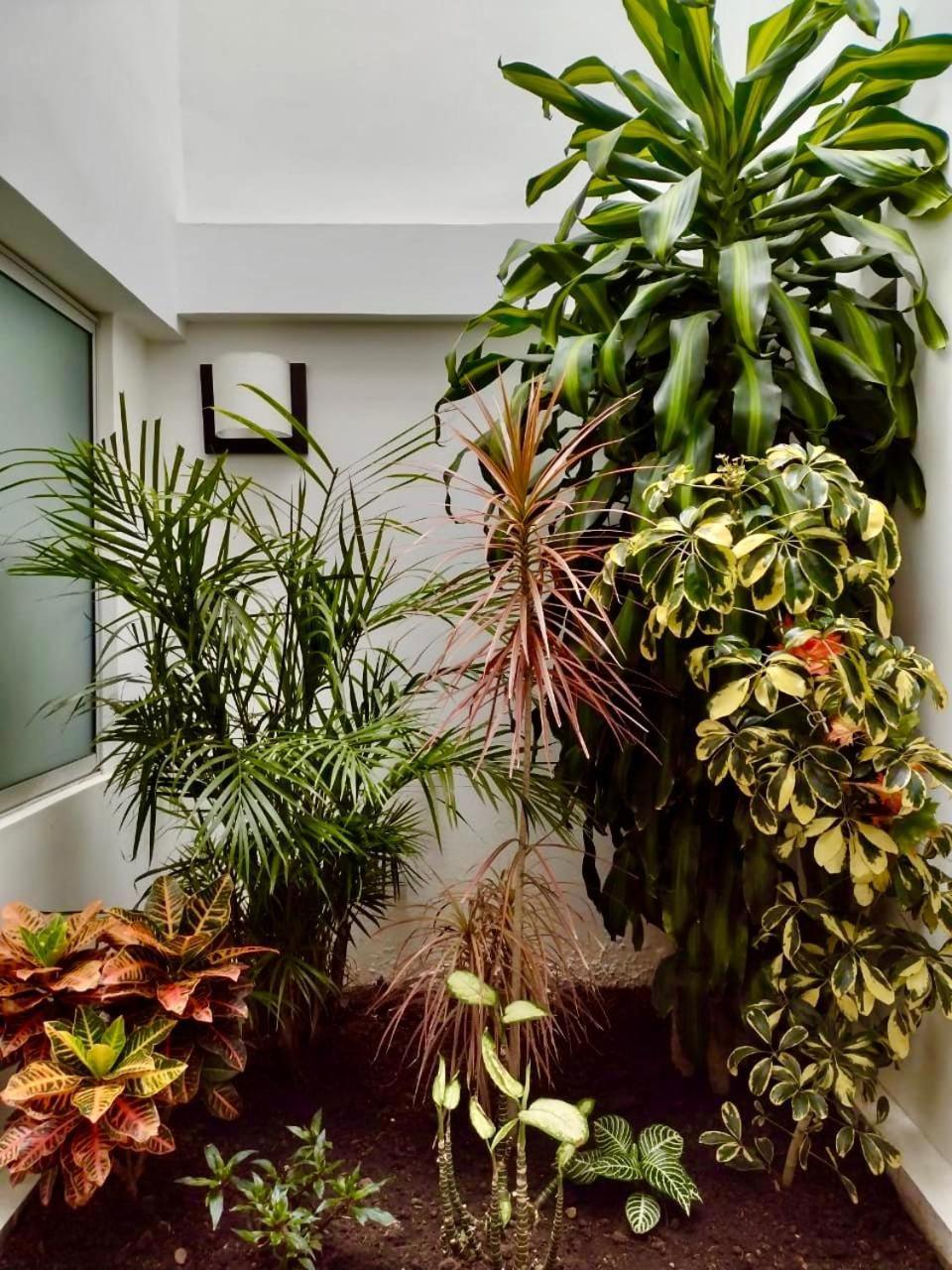 Hotel Jardin 38 Pasto Extérieur photo