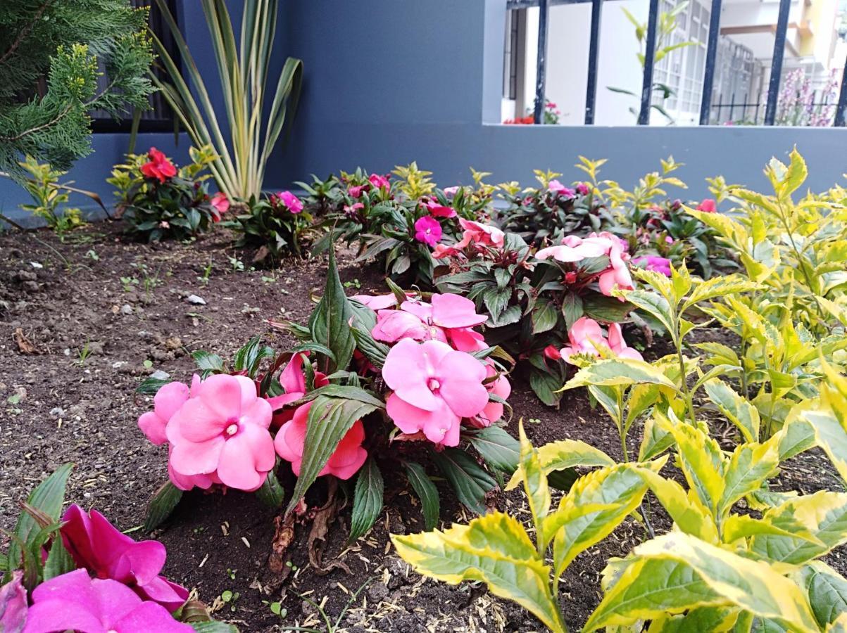 Hotel Jardin 38 Pasto Chambre photo